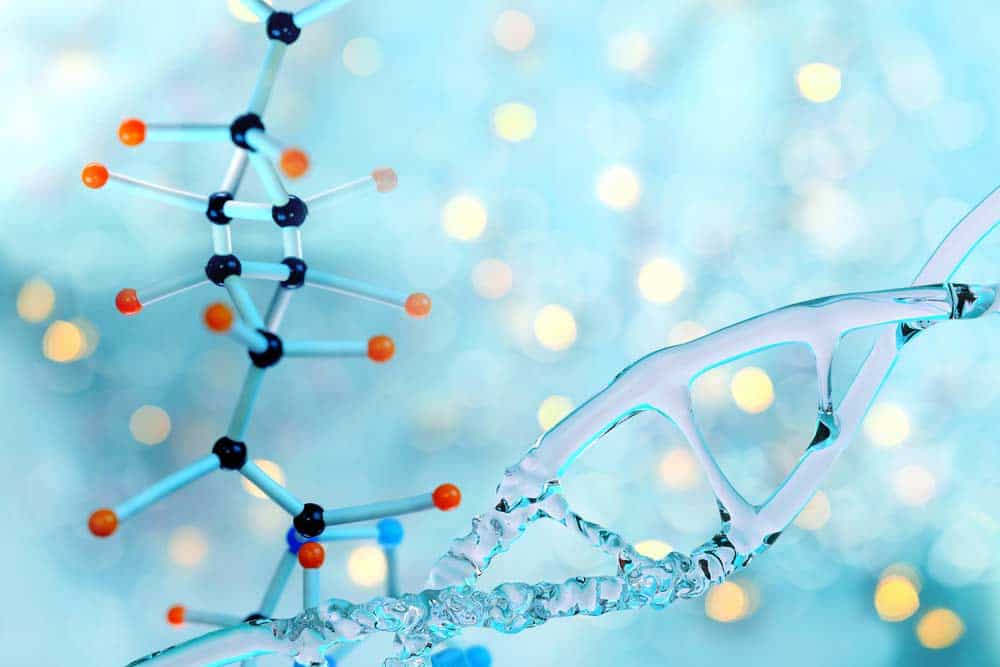 Du betrachtest gerade Bioorganische Chemie