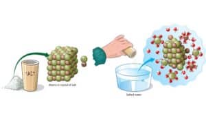 Mehr über den Artikel erfahren Hydrolyse-Reaktion