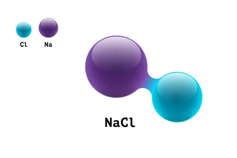 Mehr über den Artikel erfahren Das Salz Natriumchlorid