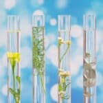 Organische Chemie in der Lebensmittelchemie