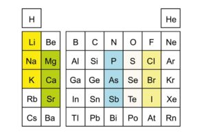 Mehr über den Artikel erfahren Periodensystem was sind Hauptgruppen?