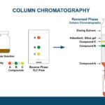 Dünnschichtchromatographie