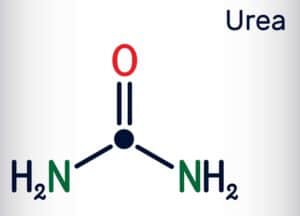 Mehr über den Artikel erfahren Carbonylverbindung