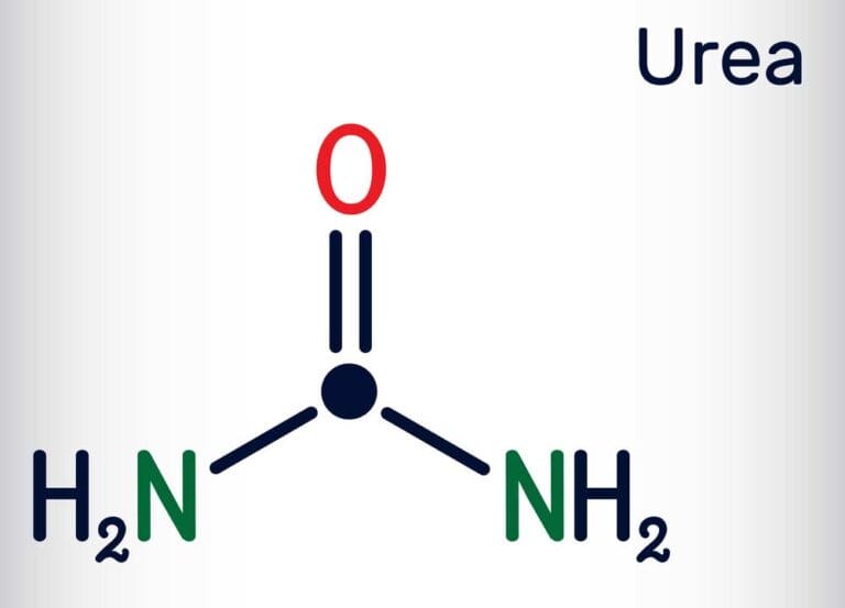 Mehr über den Artikel erfahren Carbonylverbindung