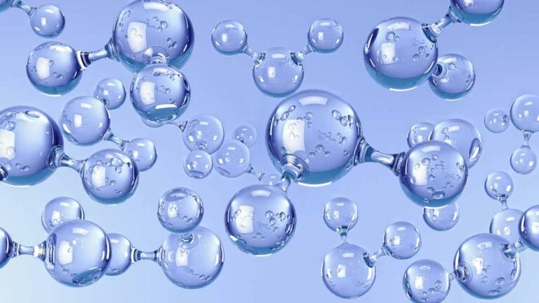 Mehr über den Artikel erfahren Wasser organisch oder anorganisch?